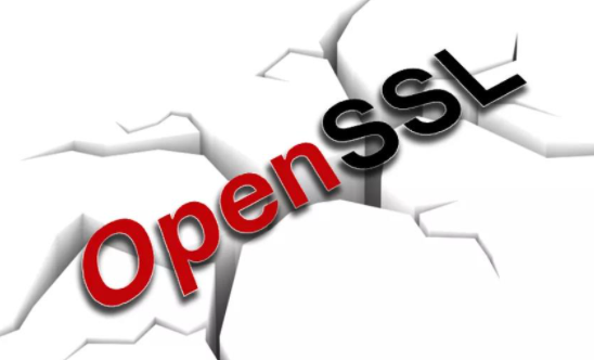 OpenSSL�����徲�������޸���Ʒ�е�2���徲���.png