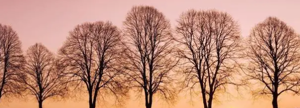 Ç徲Ψǫ֮·.png Ç徲Ψǫ֮·.png