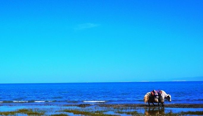 ������ʱ��(�й���)�������ǲ�!