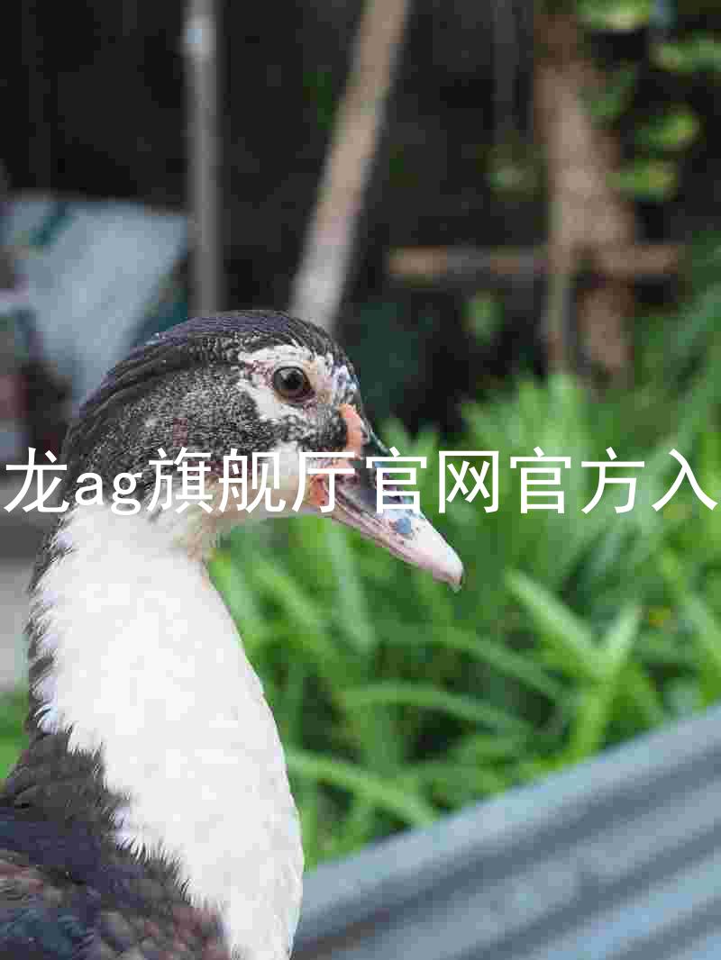 尊龙ag旗舰厅官网官方入口