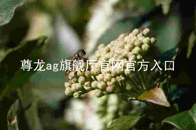 尊龙ag旗舰厅官网官方入口