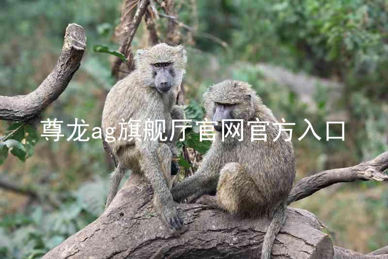 尊龙ag旗舰厅官网官方入口